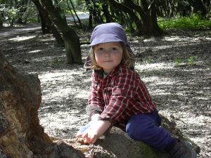 Hummingbird Hill Playgarden