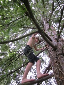 About Hummingbird Hill Playgarden climbing